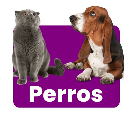 Perros