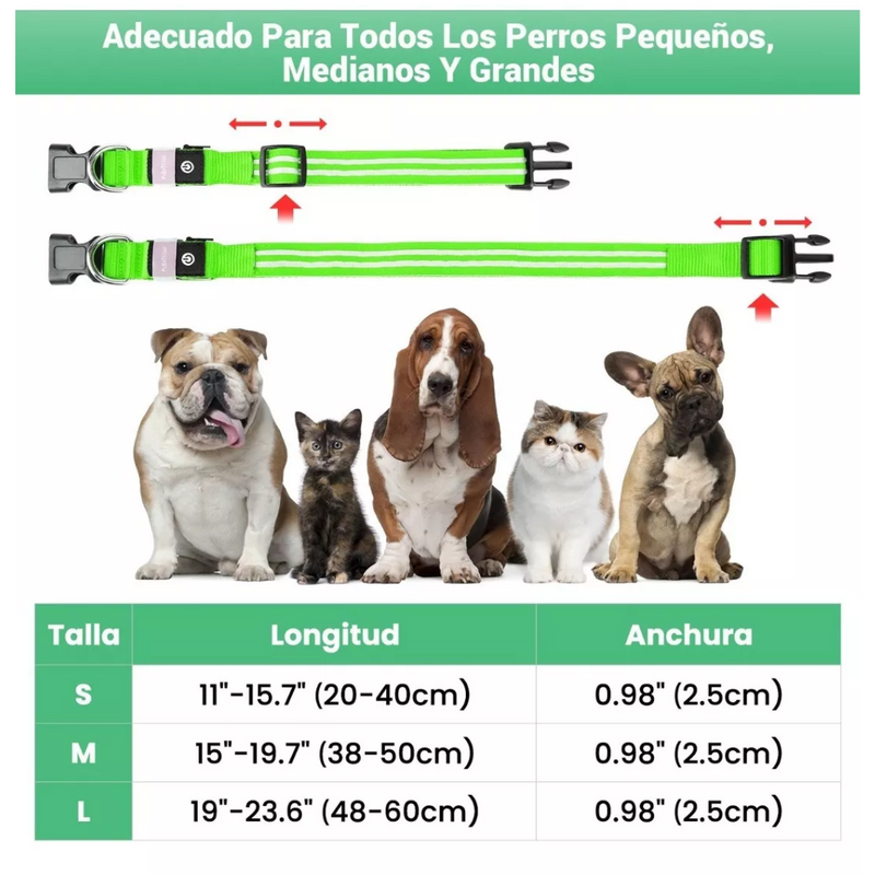 Collares Para Perros Reflectante Correa