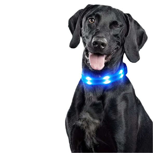 Collares Para Perros Reflectante Correa